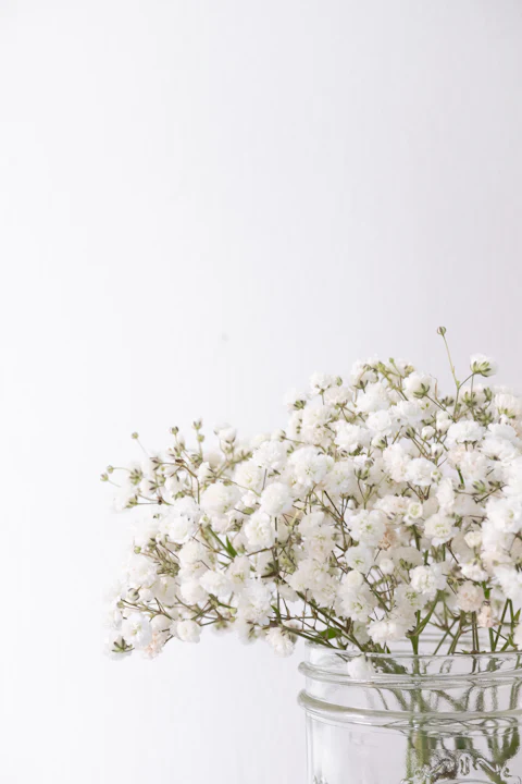 Baby's breath in a clear glass jar against a white wall