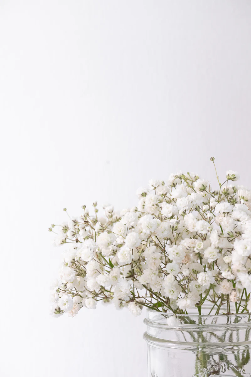 Baby's breath in a clear glass jar against a white wall
