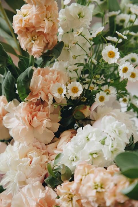 Close view of peach and white blooms with small daisies
