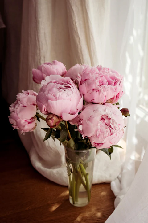 Pink peonies in a glass vase by a sunlit window