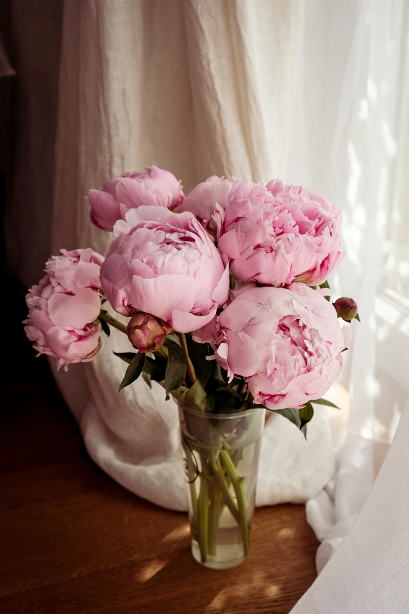 Pink peonies in a glass vase by a sunlit window