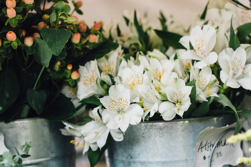 White alstroemeria and hypericum berries in metal buckets